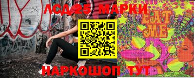 герыч Кингисепп