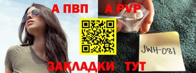 герыч Кингисепп