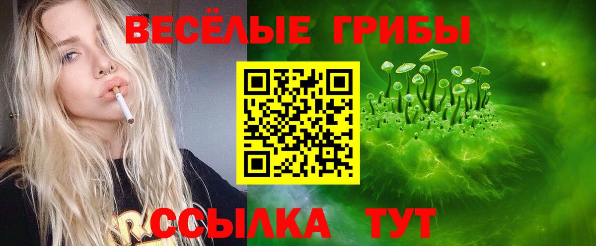 Киров  что такое   Вход с VPN  Галлюциногенные грибы Psilocybe 